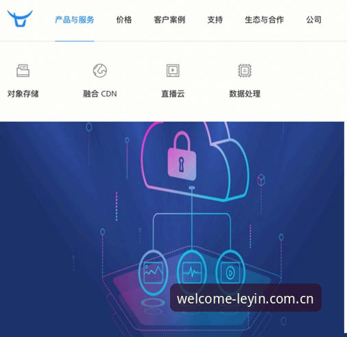 乐盈登录入口对比：官网、APP与第三方平台如何选择？